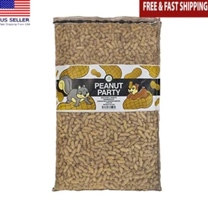 Shell Raw Peanuts for Birds Squirrels 25 Pound Bag Backyard Pet Feed Wildlife US - Picture 1 of 4