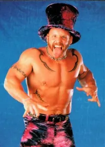 1999 Comic Images WWF SmackDown Wrestling Card #15 Droz - Picture 1 of 2
