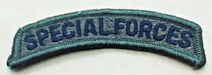 INSIGNIA ORIGINAL DE PARCHE DE HOMBRO DE TELA TENUE DE LA PESTAÑA DE LAS FUERZAS ESPECIALES DE EE. UU. - Imagen 1 de 1