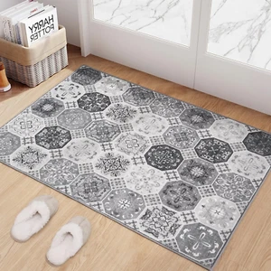 Door Mat Indoor Entrance 2X3 Rug Machine Washable, Small Non-Slip Low Pile En... - Picture 1 of 1