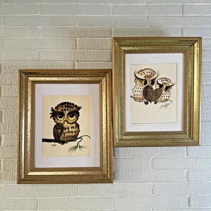PAR De Colección Big Eyed Owl Por Thayer Original Acuarela Enmarcada 11x14 - Imagen 1 de 9