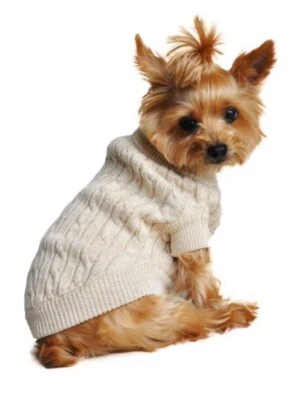 Suéter tejido con cable de algodón peinado diseño perrito talla pequeña Foto 1 de 4