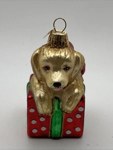 Vecchio Mondo Natale Vetro Decorazione Festività Giallo Labrador Confezione Regalo Cucciolo Cane - Foto 1 di 7