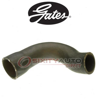 Gates Lower Radiator Coolant Hose for 1967-1970 Ford Mustang 6.4L 7.0L V8 - hl Foto 1 de 4