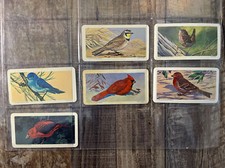 1966 Brooke Bond (Red Rose Tea) Canadian/American Songbirds Lot Of 6 Cards