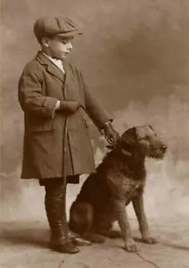 AIREDALE TERRIER CHARMING DOG GREETINGS NOTE CARD BEAUTIFUL DOG AND YOUNG BOY - Foto 1 di 1