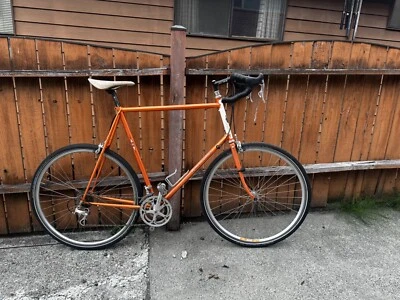 Bicicleta Rivendell Rambouillet - 66 cm - Acero Carretera / Todas las Superficies - Buen Estado - Foto 1 de 4