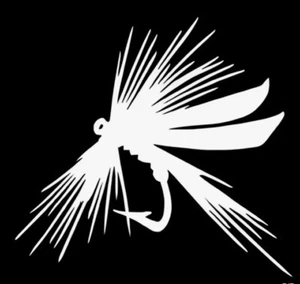 CAJA CALCOMANÍA COCHE PESCA CON MOSCA PEGATINA COCHE PEGATINA DÍA DEL PADRE PEGATINA - Imagen 1 de 10