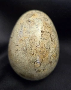 Fossil Egg Polished Rock Heavy Marble Paperweight - Picture 1 of 3