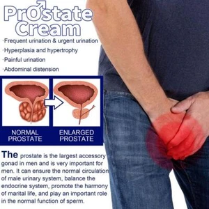 Prostate Health Cream Homeopathic Remedy For Prostate ] Care HOT 20g' K1P0 - Picture 1 of 13