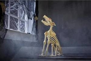 Home Accent Holiday 2,5 Fuß Animiertes Halloween Skelett Wolf 21PA30050 - Bild 1 von 12