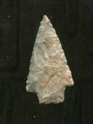 MUY FINO PUNTO DE PRIMAVERA BLANCO - NANCES CREEK EN EL CONDADO DE CHEROKEE, ALABAMA - F28 Foto 1 de 4