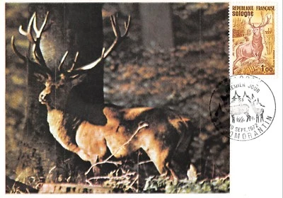 Maximum Card FDC France Forest Of Sologne September 1972 Romorantin - Image 1 of 2