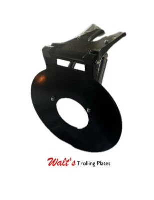 Large Trolling Plate- We are currently on a family trip from 7/20 - 8/4  - Image 1 of 3