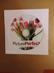 Picture Perfect (DVD, 2000) DISC ONLY - Picture 1 of 2