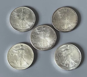 USA 5x 1 Dollar 1995 Walking Liberty 1 Unze 1 Oz. Silber Gesamt 5 Unzen 155,5g - Bild 1 von 2