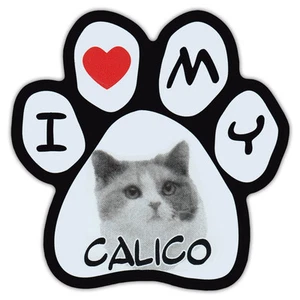 Picture Cat Paw Shaped Car Magnet - Calico - Bumper Sticker Decal - Picture 1 of 1