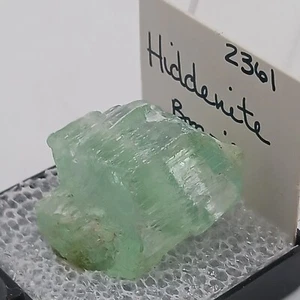 Grüner Edelstein Hiddenit Mineral Kristall Brasilien Vintage Nachlass Sammlung im Display  - Bild 1 von 7