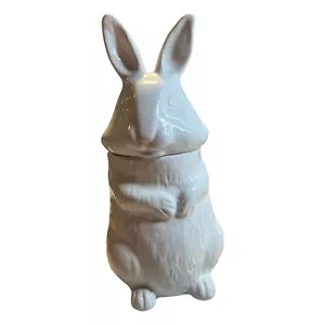 Pier 1 Imports Made In Italy Sitting White Bunny Rabbit Cookie Jar Ceramic - Picture 1 of 5
