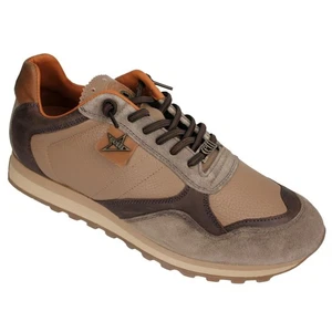 Cetti Herren Leder Schuhe Sneaker C848 taupe braun ante napa - Picture 1 of 5