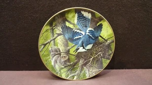 A J RUDISILL BLUEJAY PROTECTING THE NEST Plate Excellent 1st Edition 1983 - Picture 1 of 5