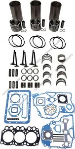 Overhaul Rebuild Kit for Mitsubishi Engine L3E Hanix Excavator H12A H17A H15A - Picture 1 of 1