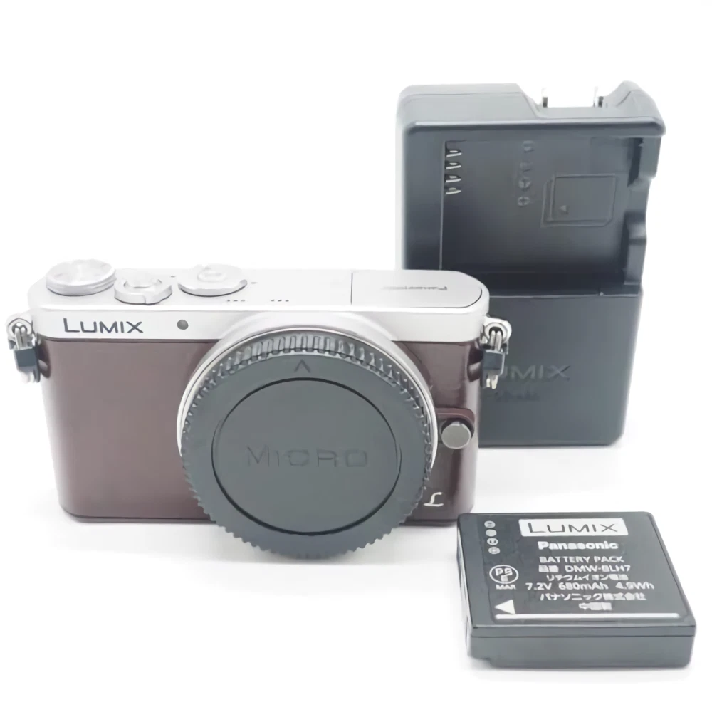 Panasonic LUMIX GM1 1-4.9x Digital Zoom Cameras for Sale | Shop