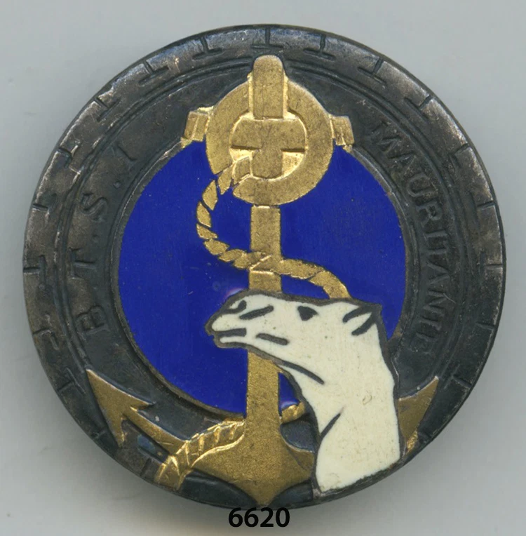 Insigne sahara , Bon. de Tirailleurs Sénégalais N° 1,  ( MAURITANIE ) - Photo 1/1