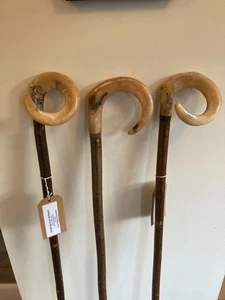 THREE RAMS HORN CROOKS on HAZEL shaft walking hiking and beaters stick. - Picture 1 of 4