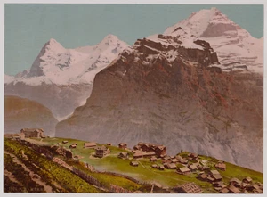 16,5x22,5 - SUISSE Switzerland PZ Photochromie - Mürren - Vintage print c.1898 - Bild 1 von 2
