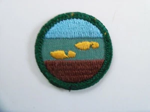 Girl Scout Junior Badge: 1963-1980 Rambler - Imagen 1 de 1