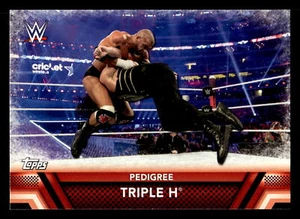 Triple H 2017 Topps WWE Then Now Forever #F-9 Finishers and Signature Moves - Picture 1 of 2