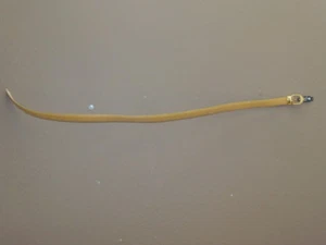 Cinturón de cuero para mujer. 1" ANCHO, TAMAÑO - MEDIANO, OTROS TAMAÑOS/COLORES LISTADOS (RM6-33) - Imagen 1 de 5