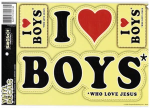 Set of 5 Vinyl Decals / Stickers - "I LOVE BOYS WHO LOVE JESUS" - DE3013 - Picture 1 of 2