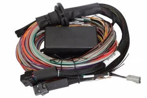 Haltech HT-141304 Premium Universal Wire-in Harness - Picture 1 of 6