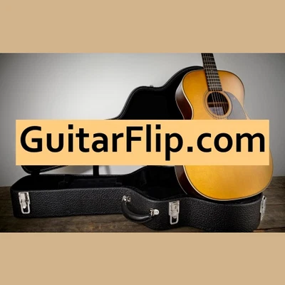 GuitarFlip .com / Domains For Sale / Business Brand, Website Name / Porkbun - Image 1 of 2