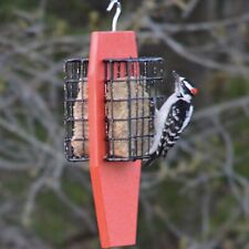 Songbird Essentials Red Double Suet Feeder with Tail Prop, Recycled Plastic