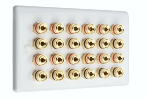 Altavoz Placa de Pared Slimline 24 Postes de Encuadernación AV Audio No Soldado - Imagen 1 de 4