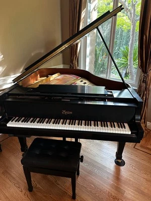 Boston by Steinway GP 163 Baby piano de cola con reproductor de piano disco ébano satinado 5'4" Foto 1 de 4