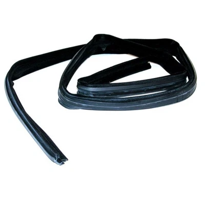 For Ford Bronco II 1990 Door Window Glass Run Channel Driver OR Passenger Side Foto 1 de 3