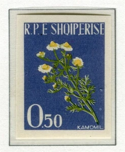 ALBANIA; 1962 early Plants Pictorial IMPERF issue Mint MNH Unmounted 0.5L. - Picture 1 of 1