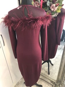 Coast Dress With Feather Trim - Picture 1 of 3