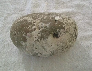 SPANISH BALLAST STONE, 1733 FLEET, SAN PEDRO SHIPWRECK, ISLAMORADA, Florida Keys - Picture 1 of 3