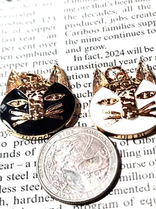Chanel buttons white and black CATS large zip pulls 25 mm 2 pcs - Picture 1 of 3