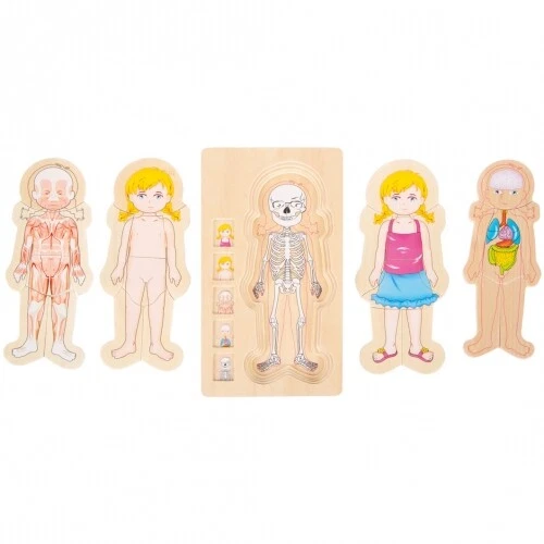 Puzzle In Legno Anatomia - Immagine 1 di 4