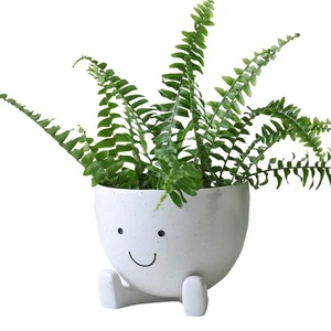 Face Flower Pot Face Head Planter for Indoor Plants Succulent Planters with D... - Picture 1 of 8