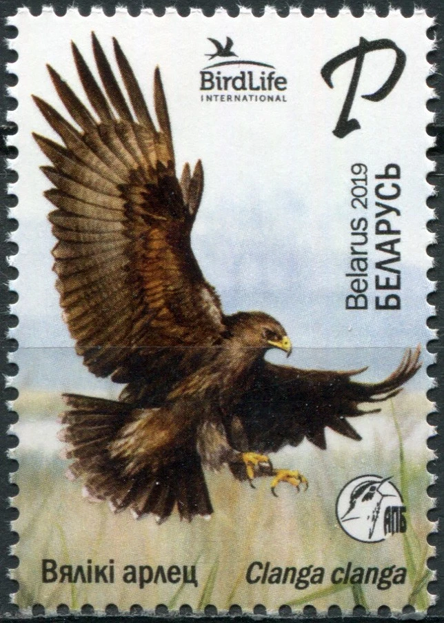 Belarus 2019. Greater Spotted Eagle (Clanga clanga) (MNH OG **) Stamp - Image 1 of 1