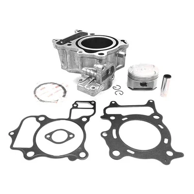 KIT GRUPPO TERMICO CILINDRO PISTONE GUARNIZIONI ORIGINALE PER HONDA SH 300 TUTTI - Imagen 1 de 4