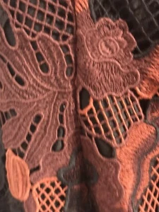 plus Size Lace Formal Dress - Picture 1 of 4