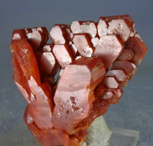 PRISTINE CANDY RED VANADINITE CRYSTALS FLOWER FORMATION, MOROCCO, GLOBE MINERALS - Picture 1 of 3